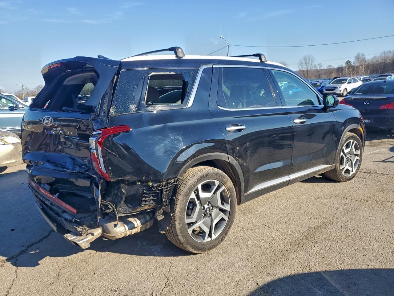 2024 Hyundai Palisade Limited - Фото 3