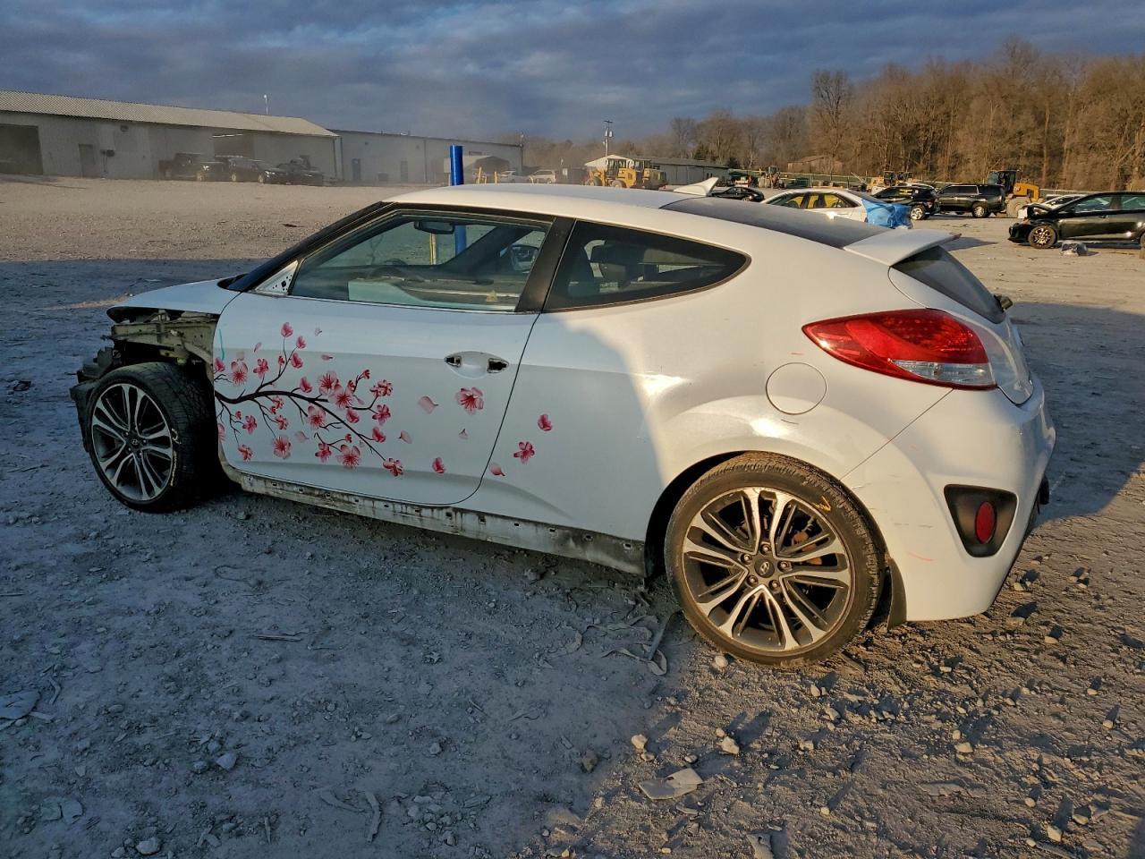 2016 Hyundai Veloster Turbo - Фото 2