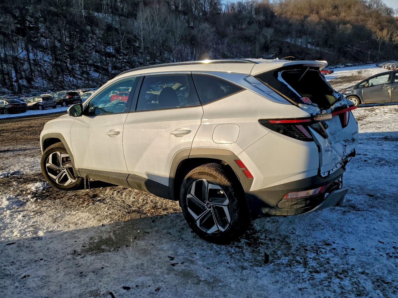 2023 Hyundai Tucson Limited - Фото 2