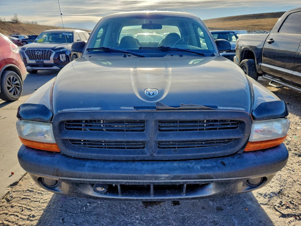 2004 Dodge Dakota - Фото 5