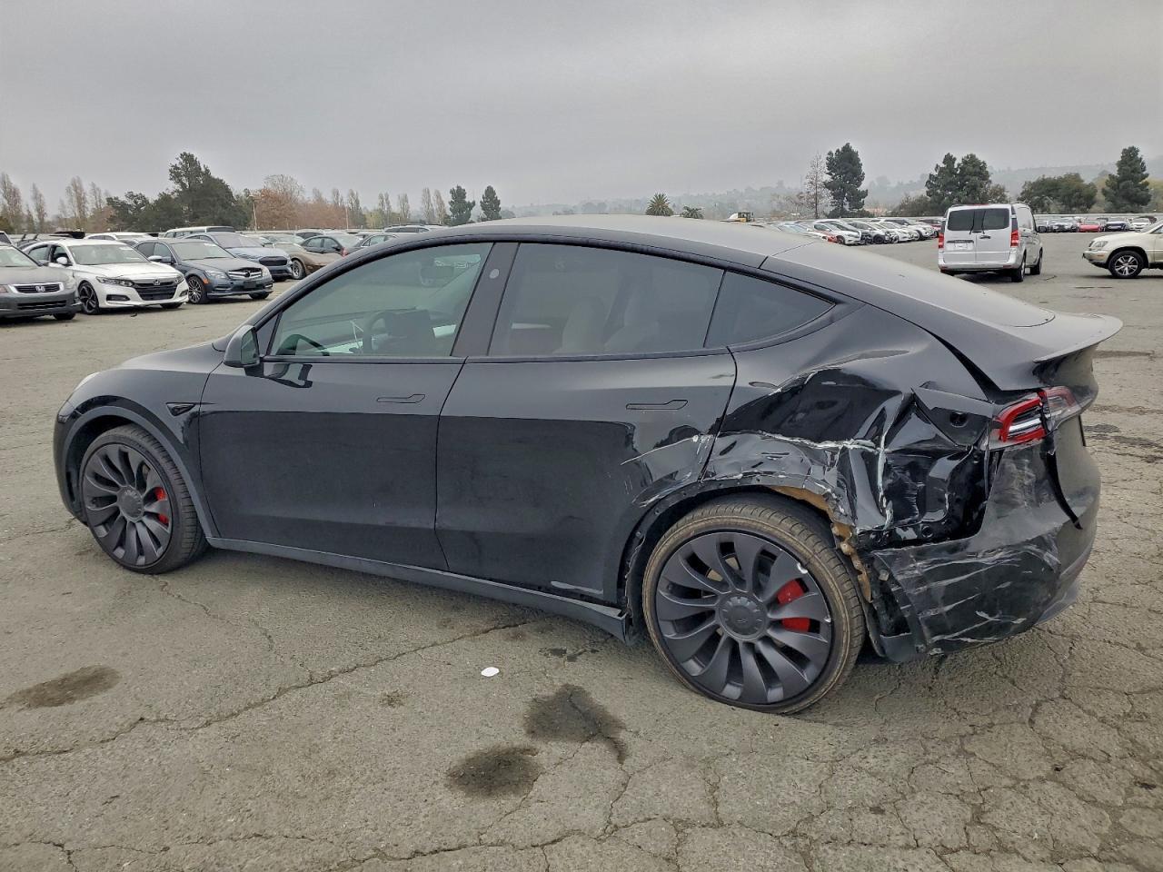 2023 Tesla Model Y - Фото 2
