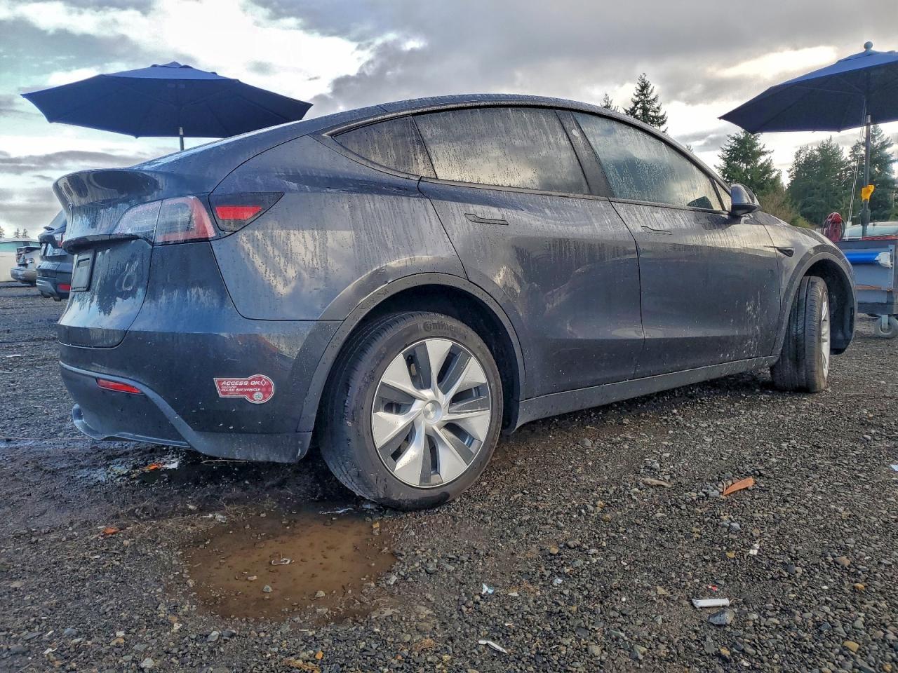2024 Tesla Model Y - Image 3