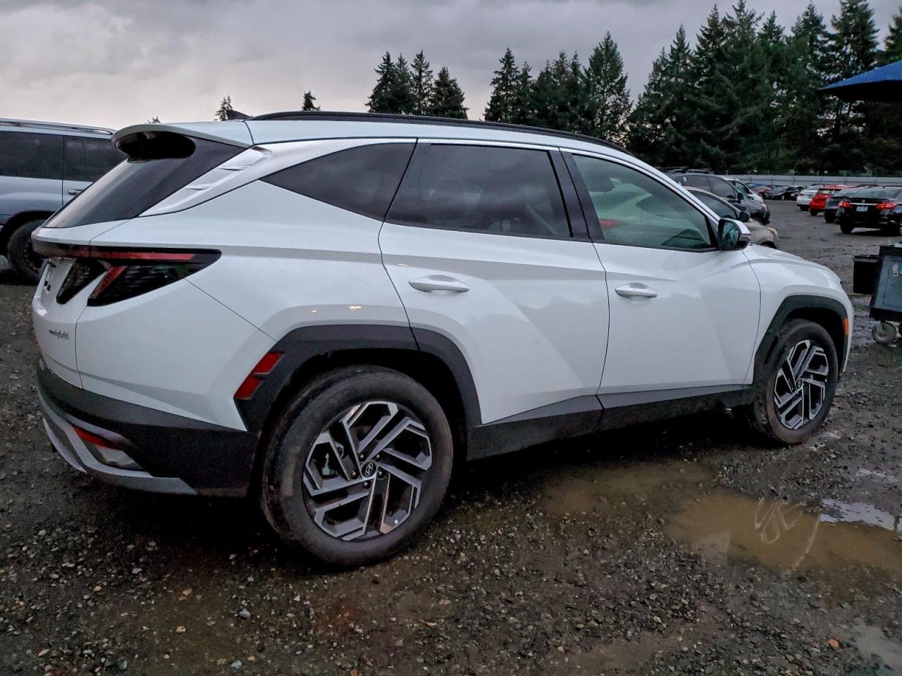 2025 Hyundai Tucson Limited - Image 3