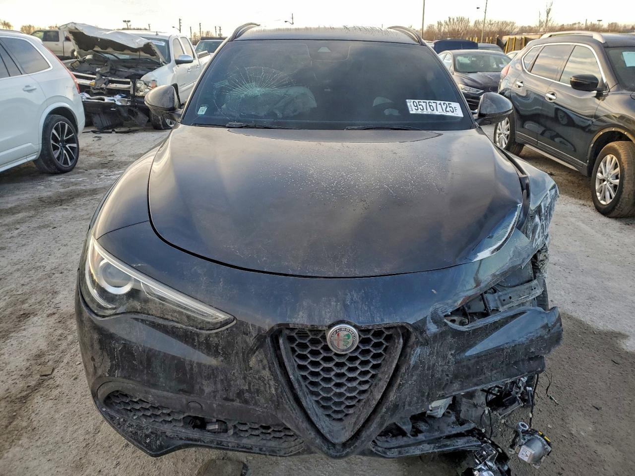 2020 Alfa Romeo Stelvio - Фото 5