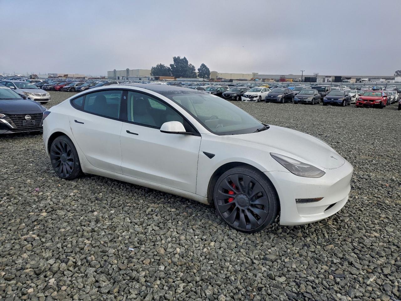 2023 Tesla Model 3 - Фото 4