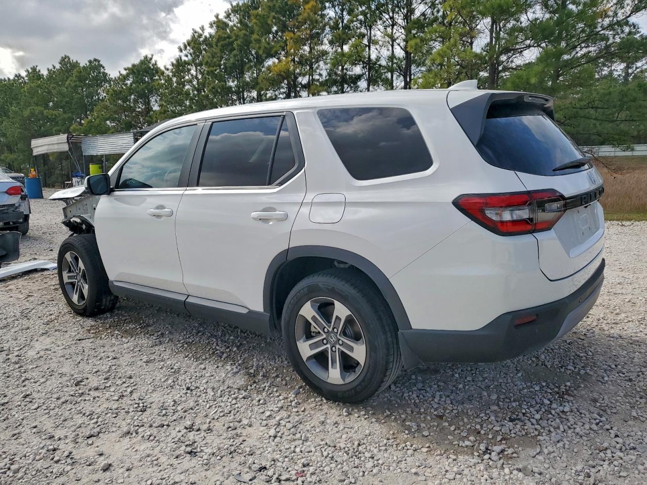 2025 Honda Pilot Exl - Фото 2