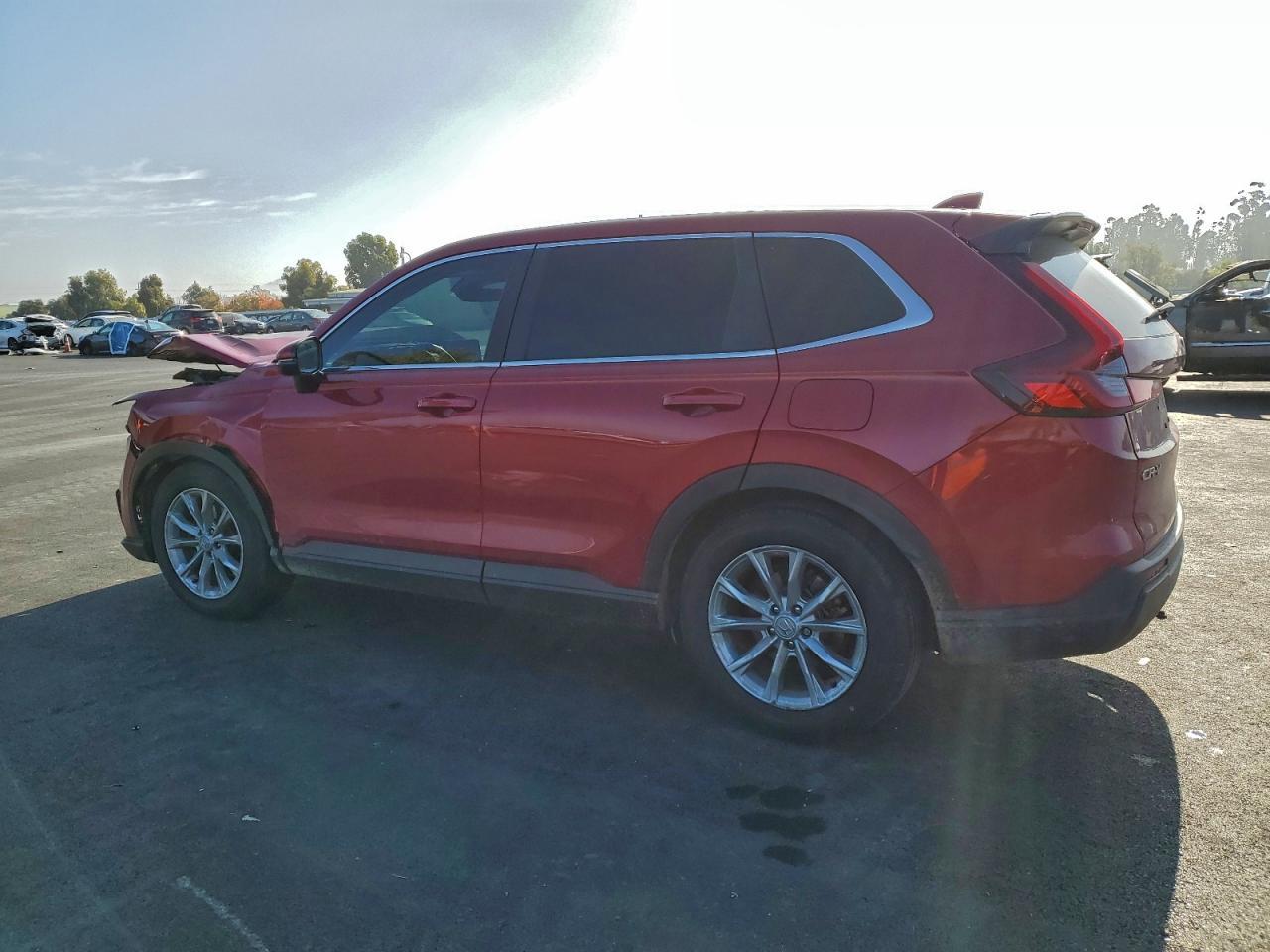 2025 Honda Cr-V Exl - Image 2