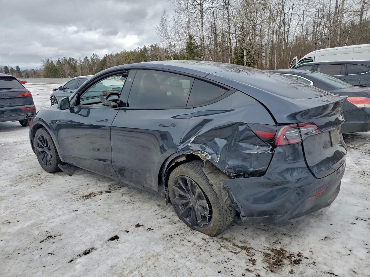 2024 Tesla Model Y - Фото 2