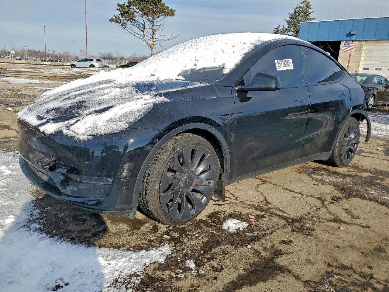 2024 Tesla Model Y
