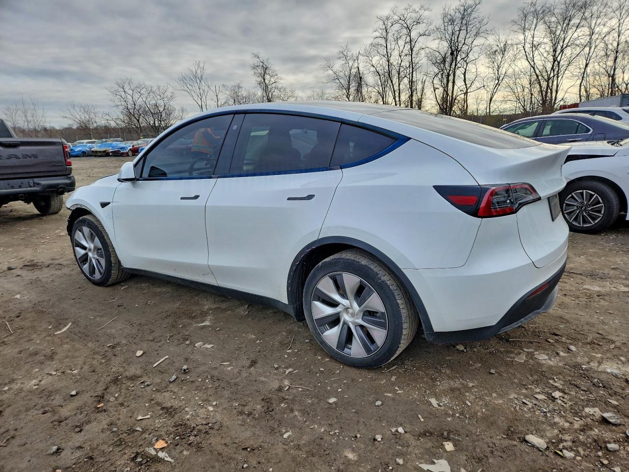 2023 Tesla Model Y - Image 2