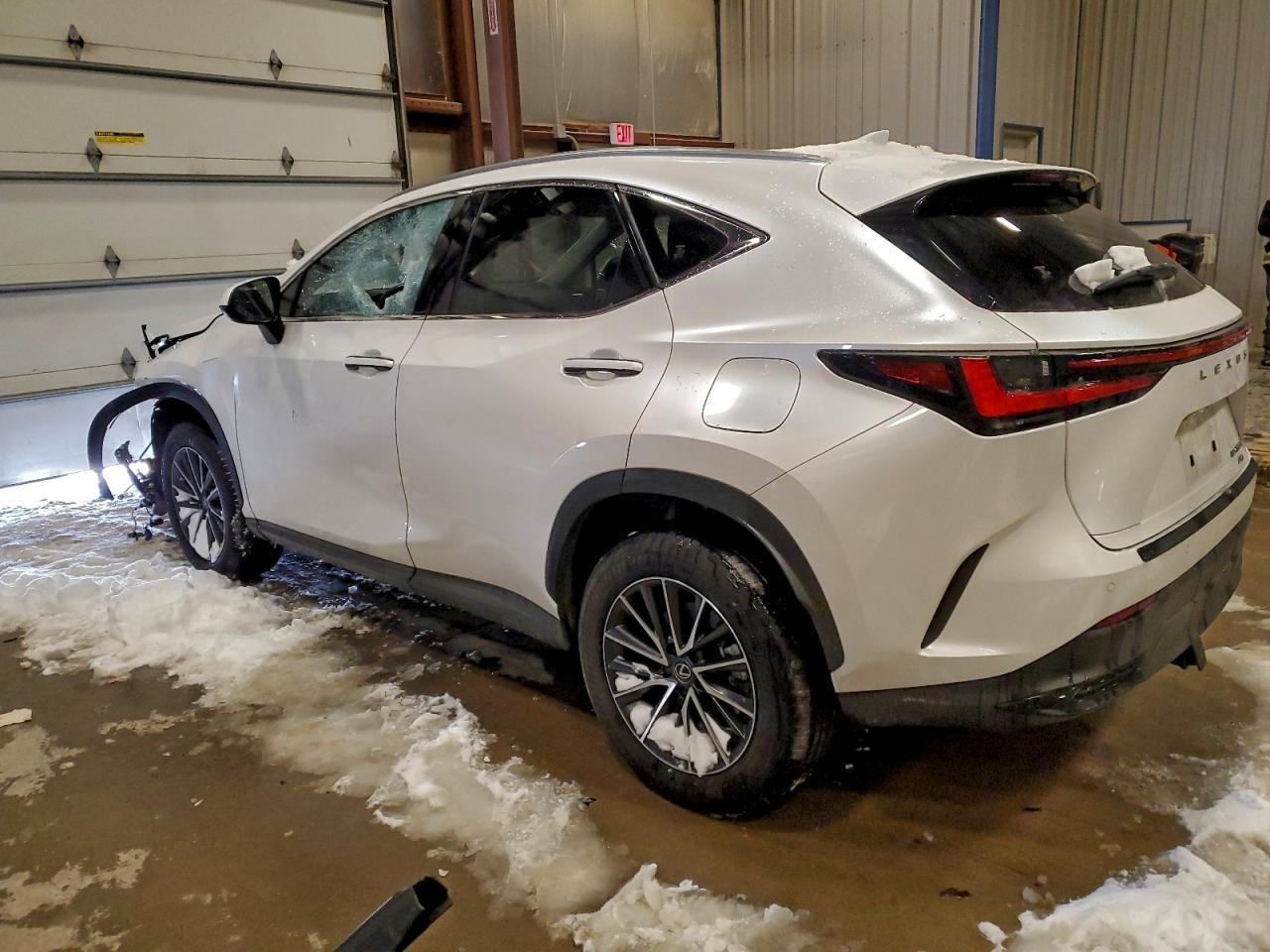 2024 Lexus Nx 350 - Фото 2