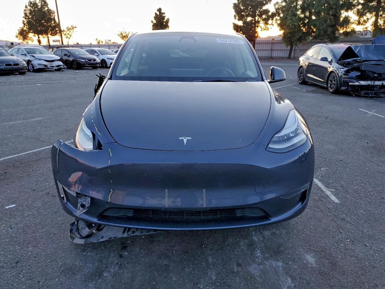 2023 Tesla Model Y - Фото 5