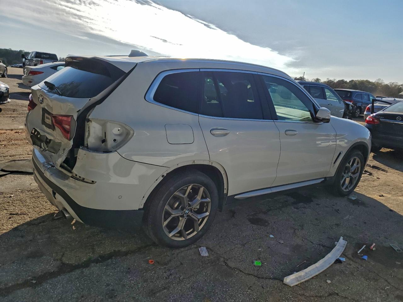 2020 BMW X3 Sdrive30I - Фото 3