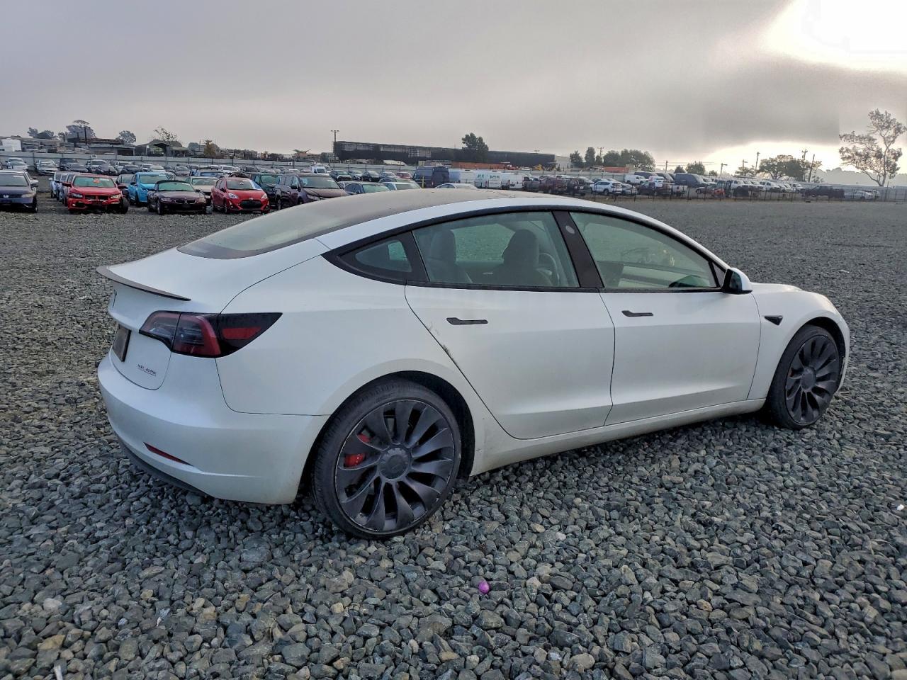 2023 Tesla Model 3 - Фото 3