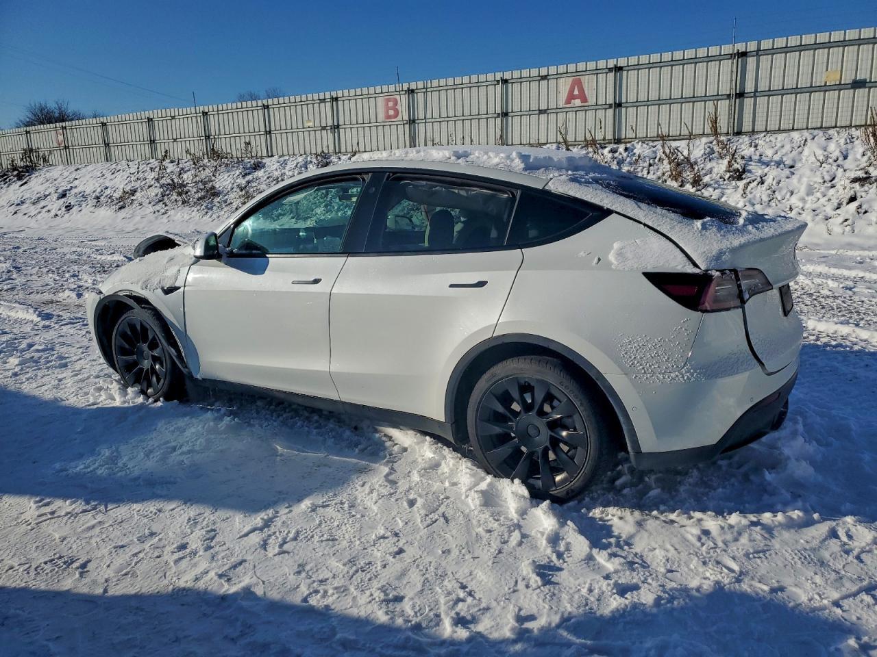 2021 Tesla Model Y - Image 2