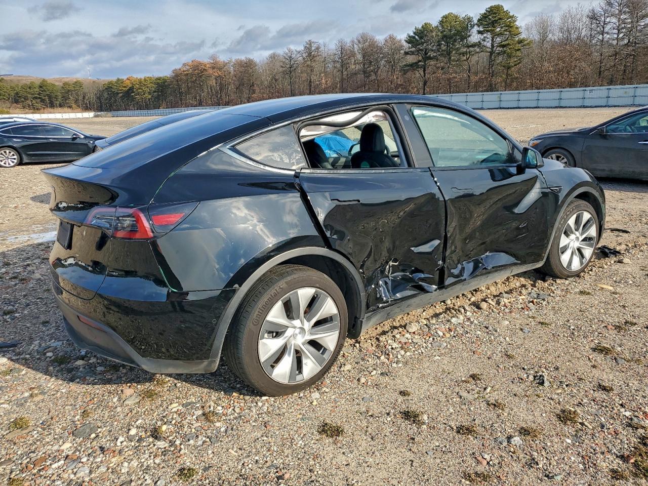 2021 Tesla Model Y - Фото 3