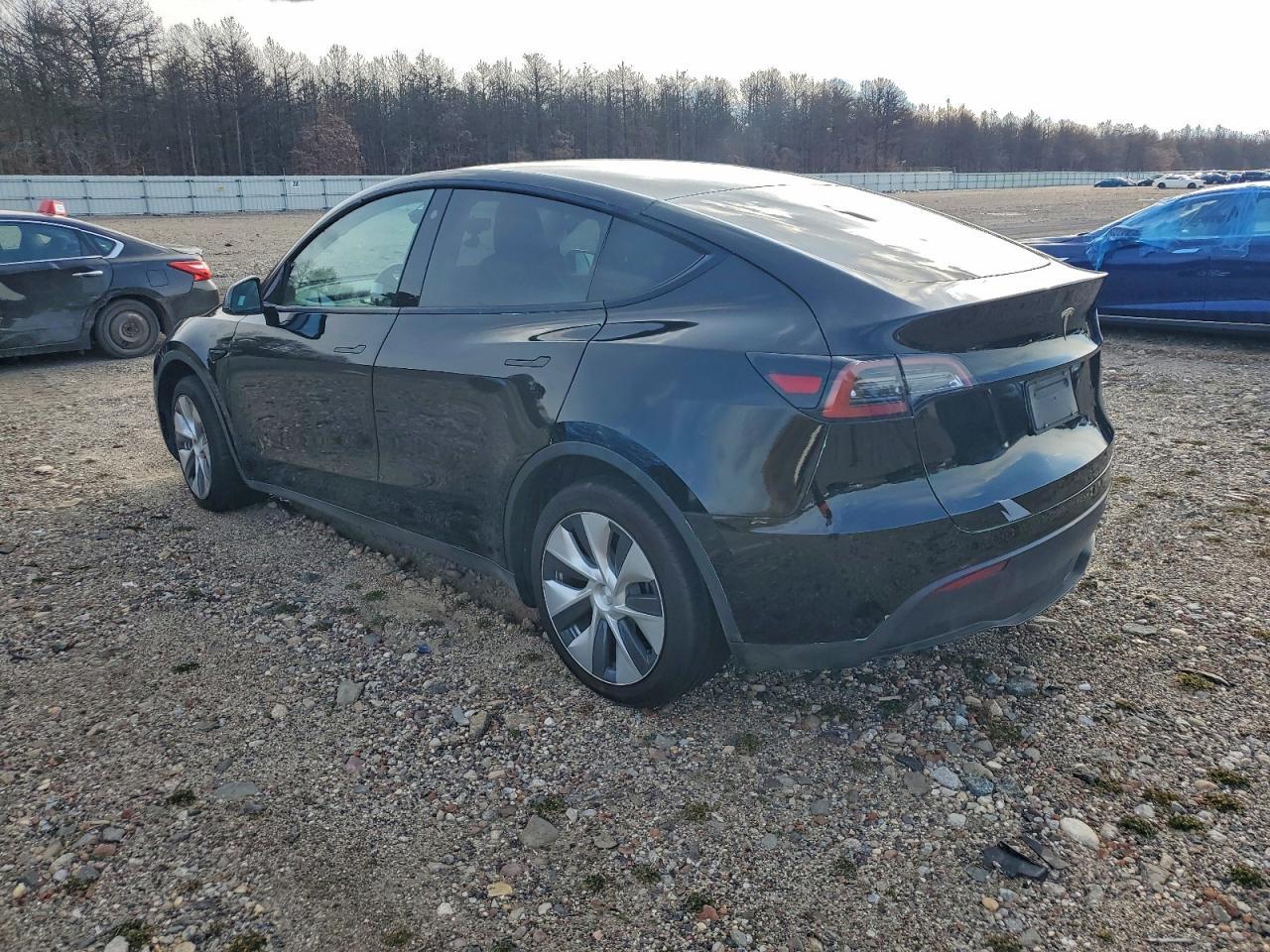 2021 Tesla Model Y - Фото 2