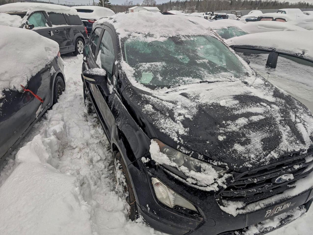 2019 Ford Ecosport Ses - Image 4