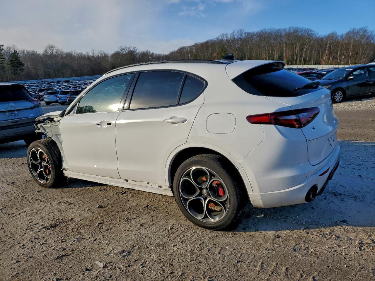 2022 Alfa Romeo Stelvio Ti - Фото 2