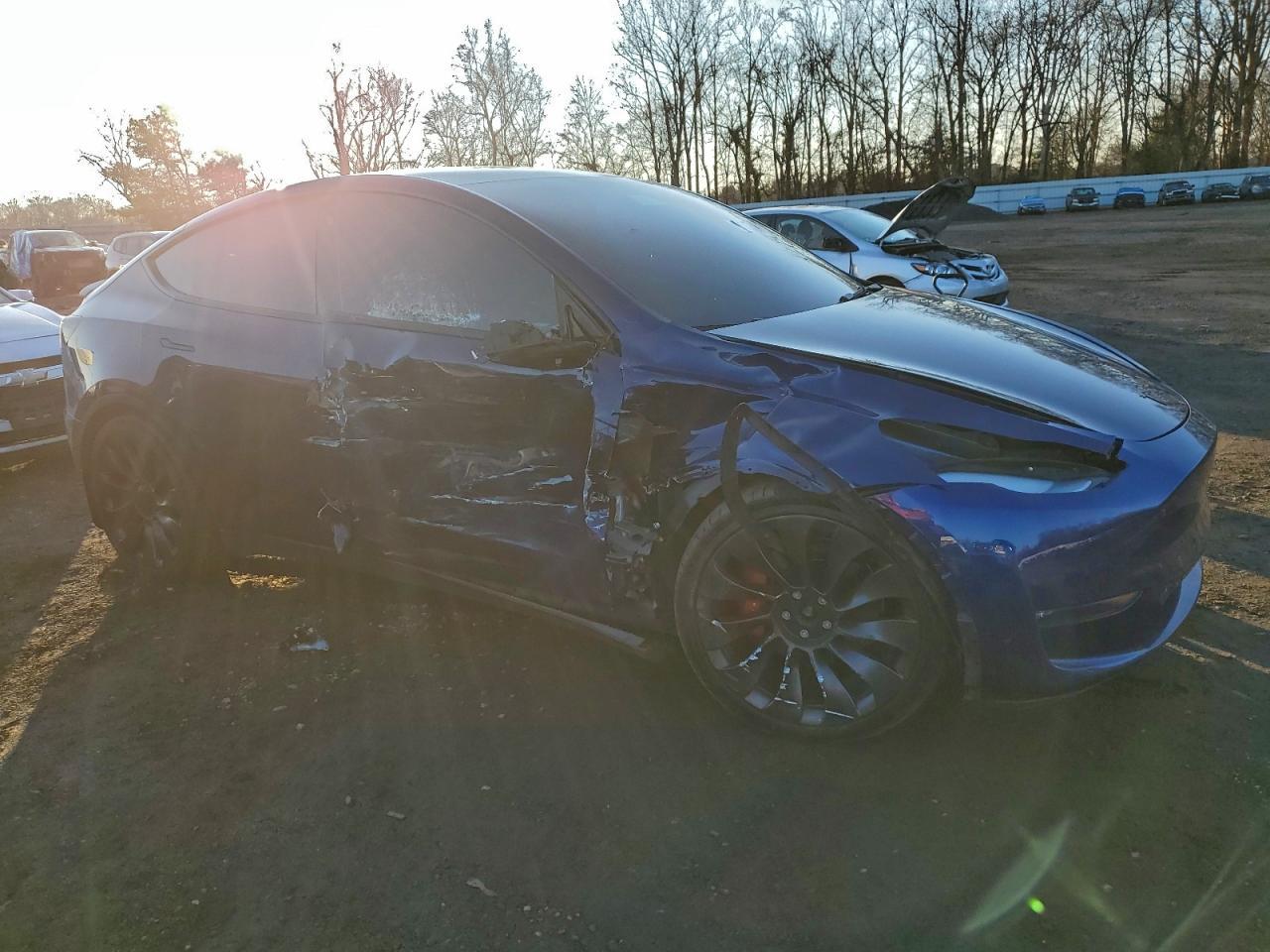 2021 Tesla Model Y - Фото 4