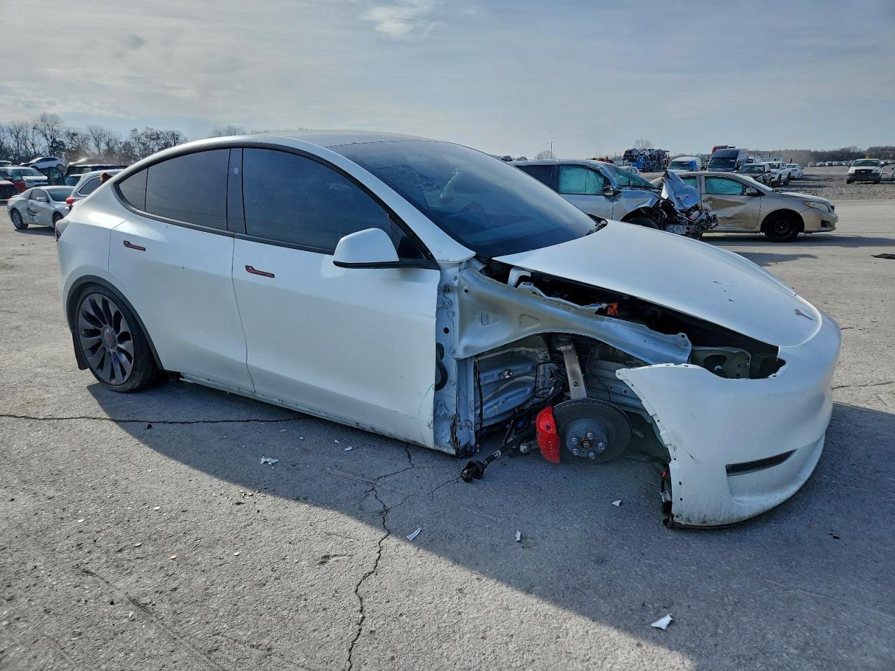 2023 Tesla Model Y - Фото 4