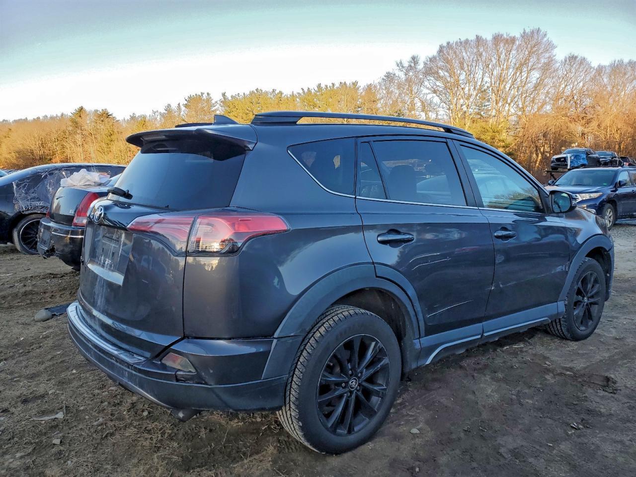 2018 Toyota Rav4 Adventure - Фото 3