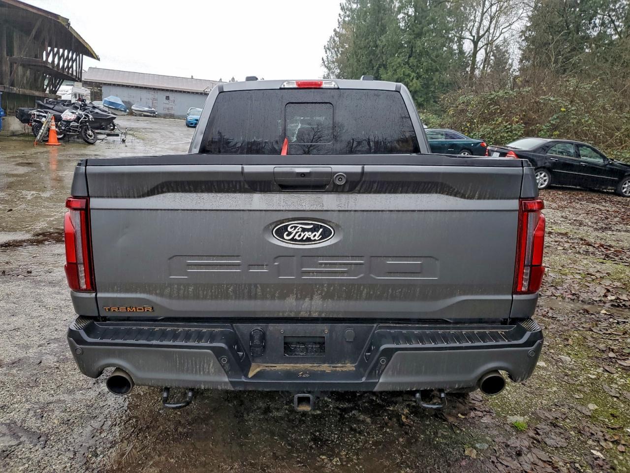2024 Ford F150 Tremor - Image 6