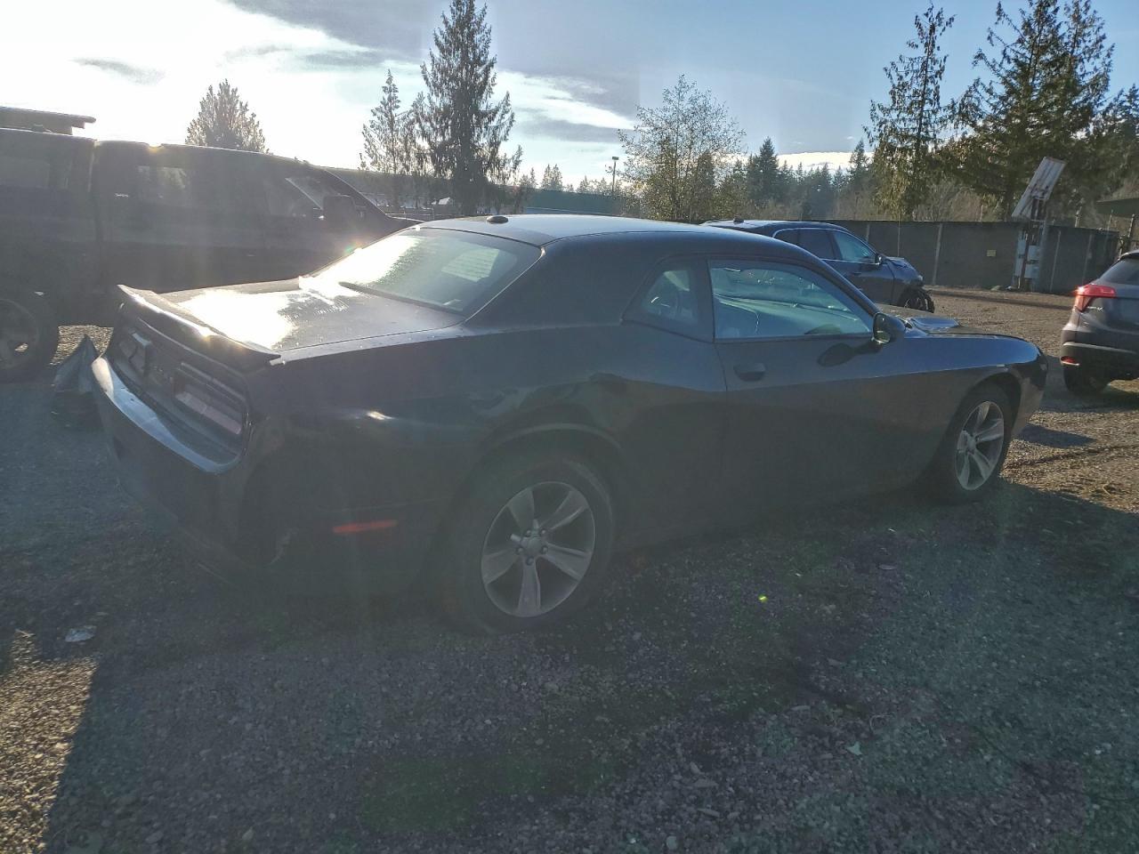 2018 Dodge Challenger Sxt - Фото 3