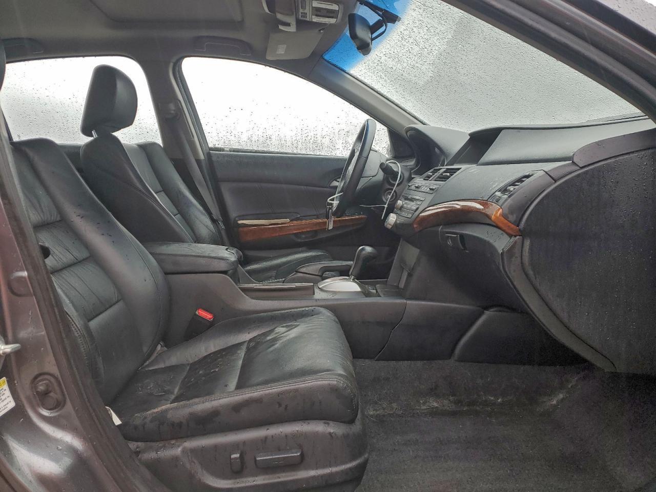 2011 Honda Accord Exl - Image 7