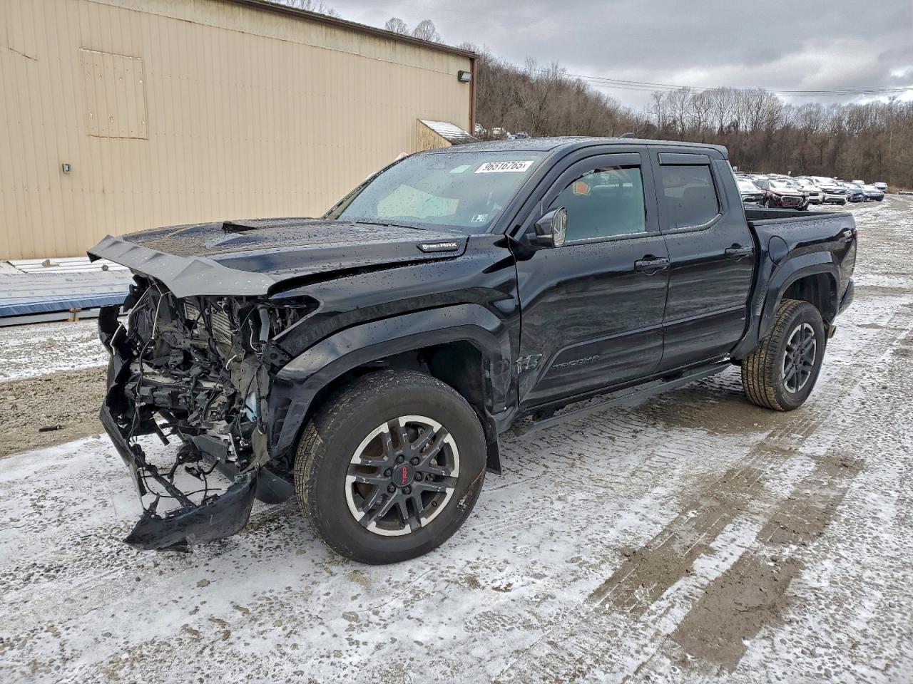 2024 Toyota Tacoma Trd Sport Hv