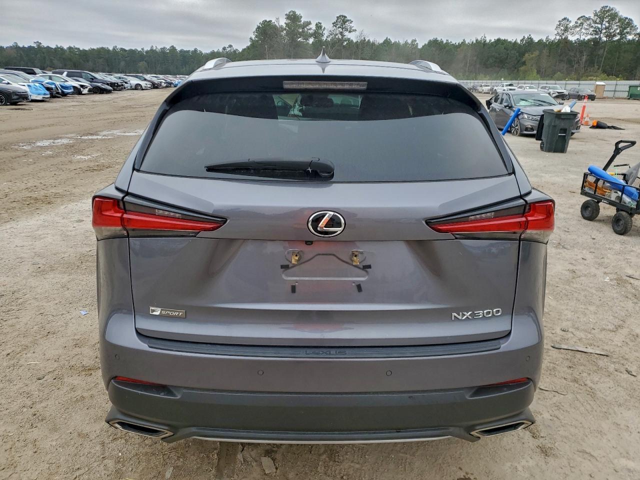 2019 Lexus Nx 300 Base - Фото 6