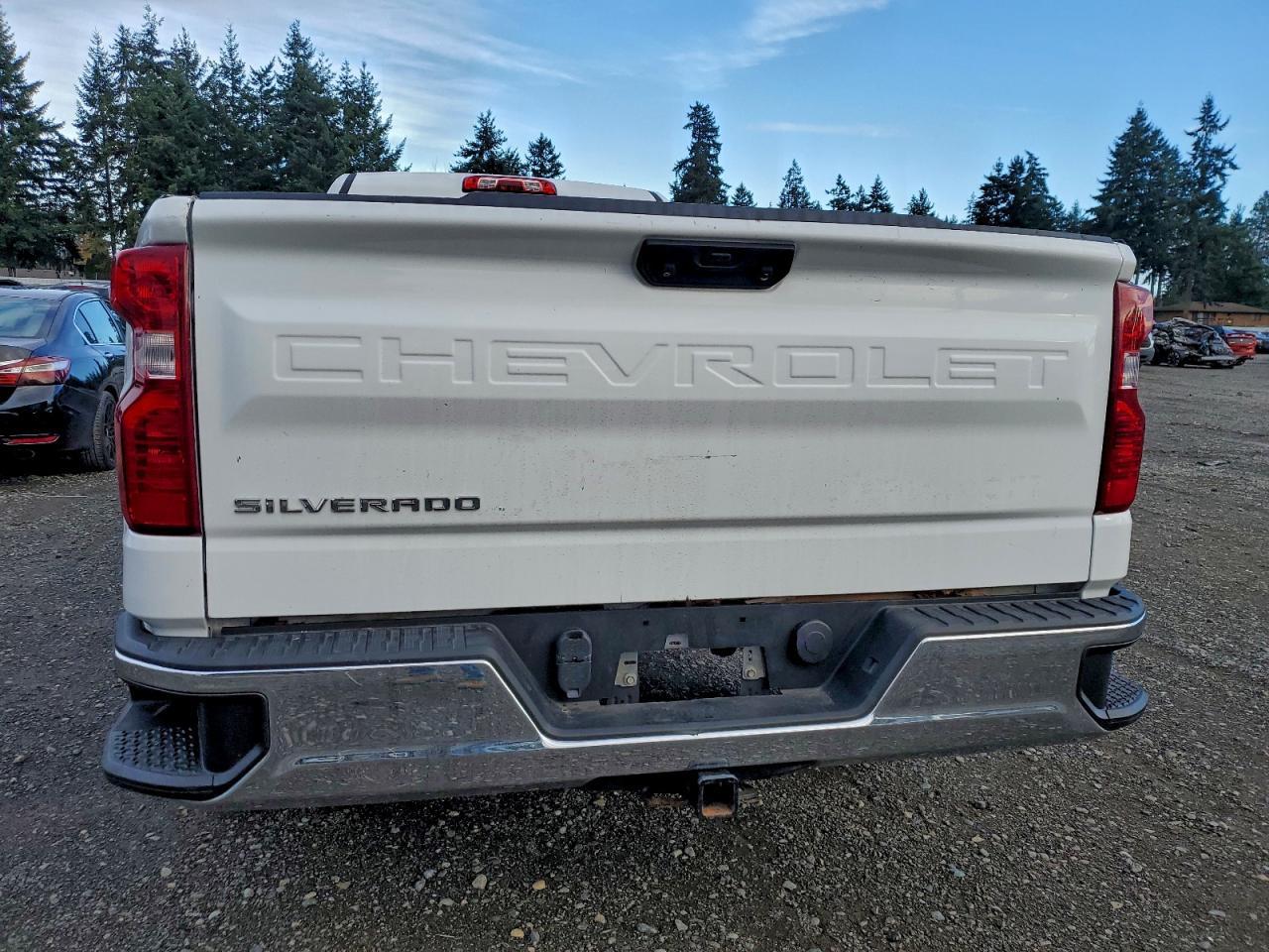 2023 Chevrolet Silverado C1500 - Image 6