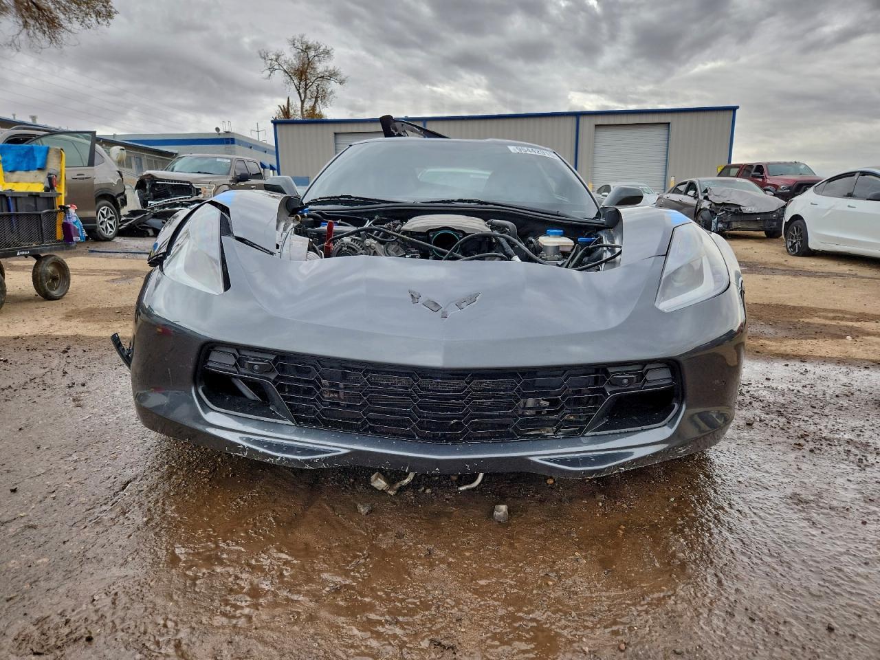 2017 Chevrolet Corvette Grand Sport 3Lt - Фото 5
