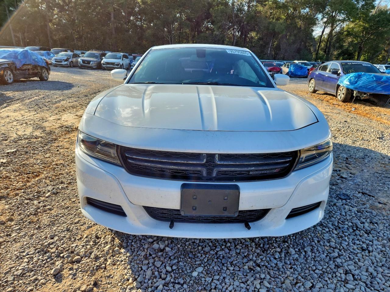 2017 Dodge Charger Se - Фото 5