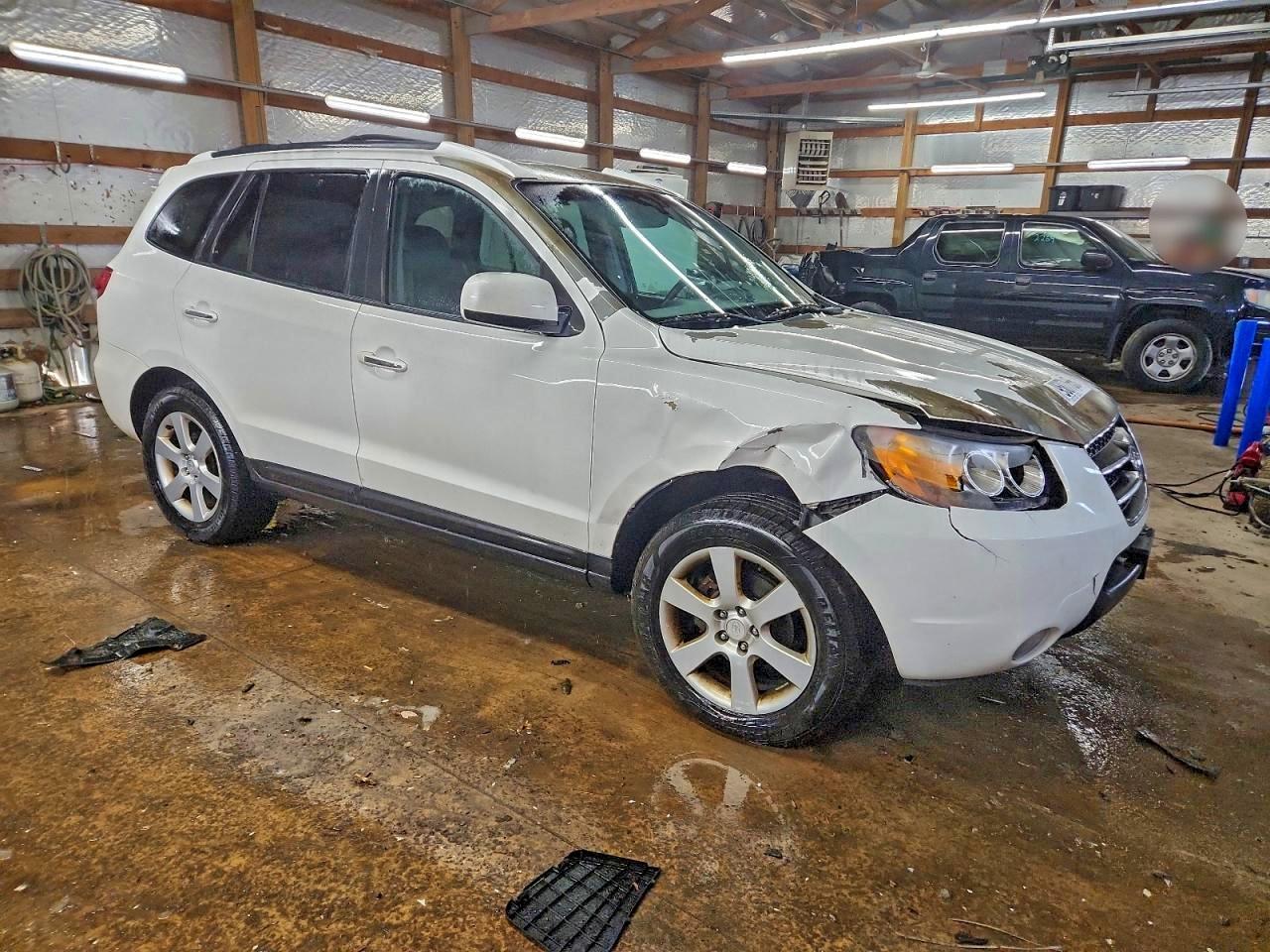 2007 Hyundai Santa Fe Se - Фото 4