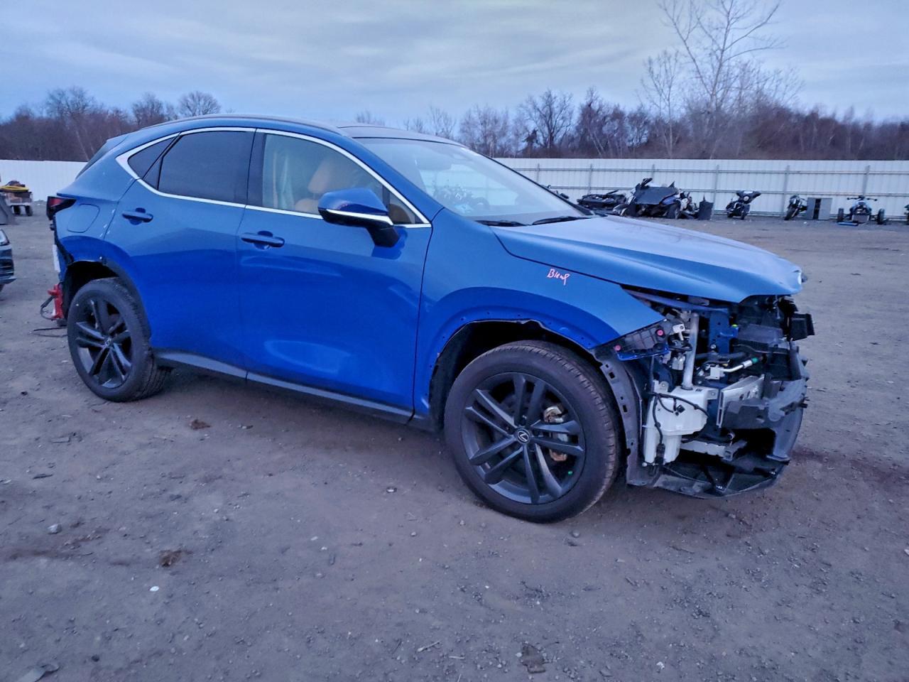 2025 Lexus Nx 450H Luxury - Фото 4