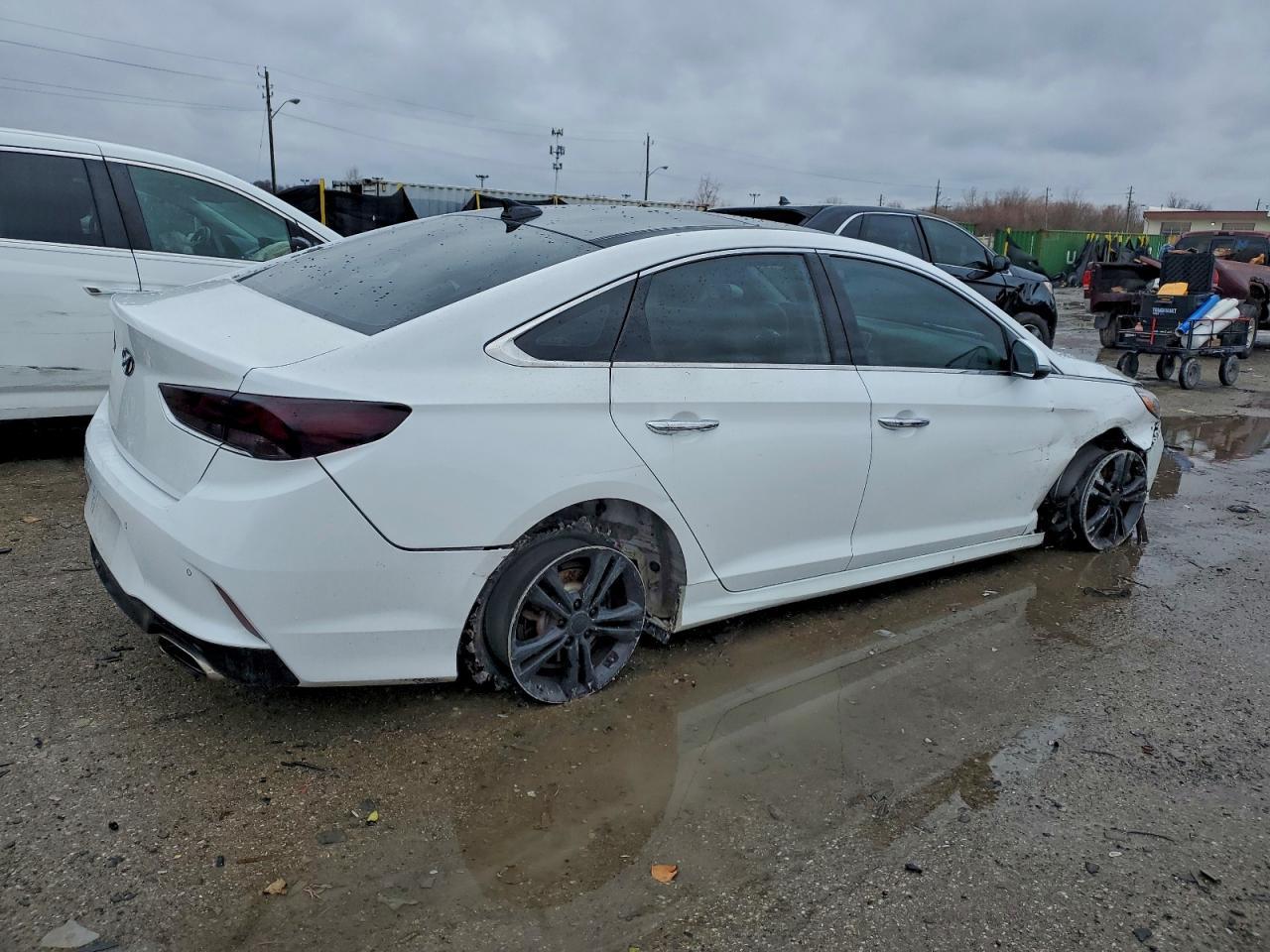 2019 Hyundai Sonata Limited - Фото 3