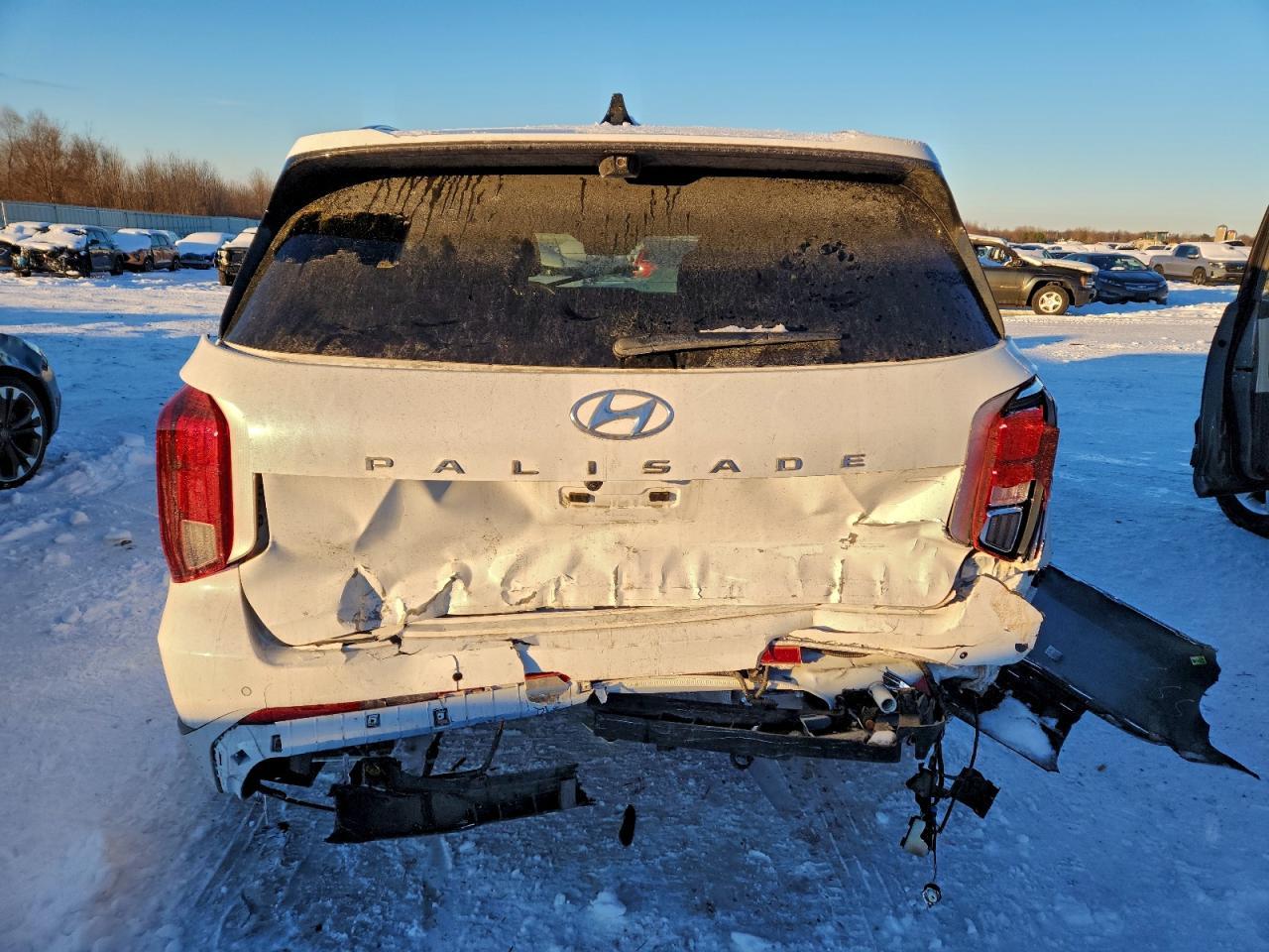 2025 Hyundai Palisade Calligraphy - Фото 6