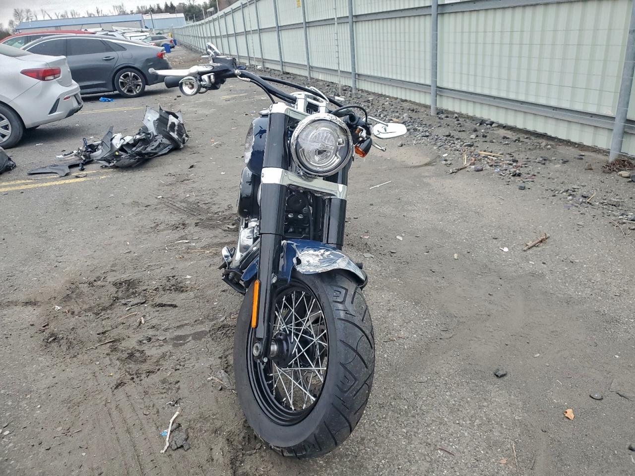 2019 Harley-Davidson Flsl - Фото 2