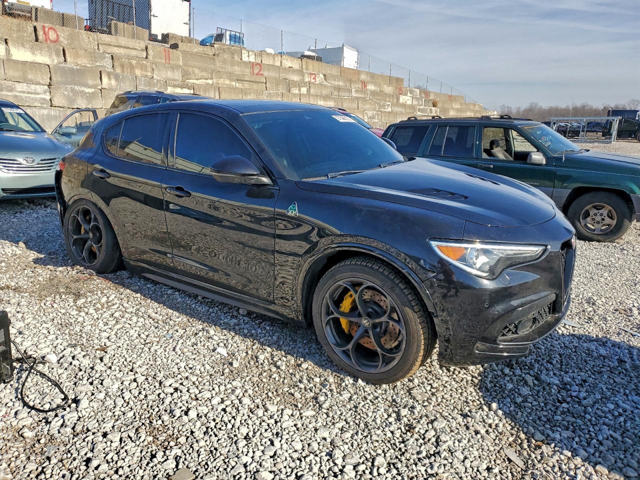 2018 Alfa Romeo Stelvio Quadrifoglio - Фото 4