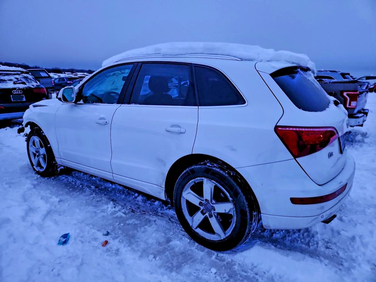 2009 Audi Q5 3.2 - Фото 2