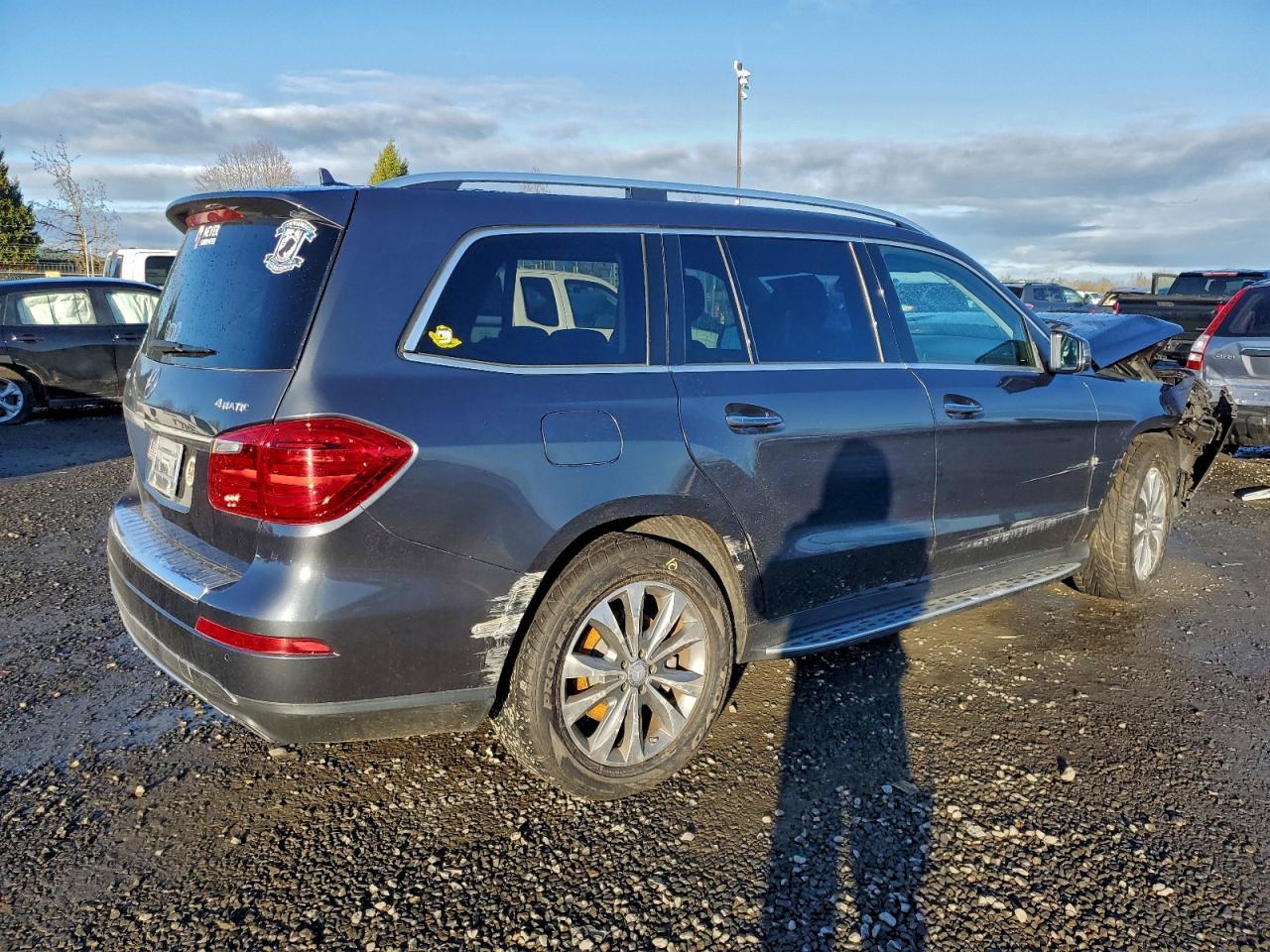 2015 Mercedes-Benz Gl 450 4Matic - Фото 3