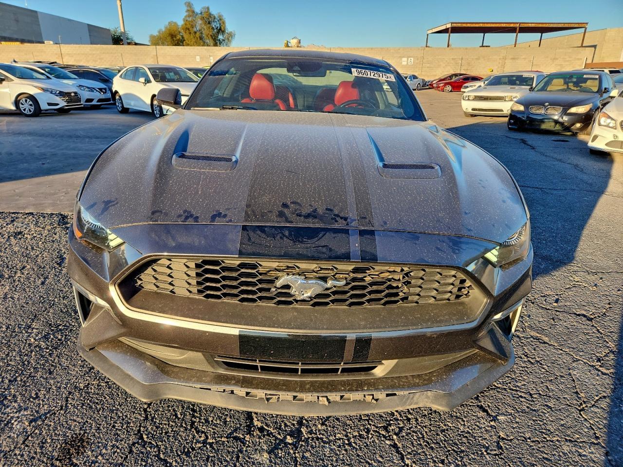 2019 Ford Mustang - Фото 5