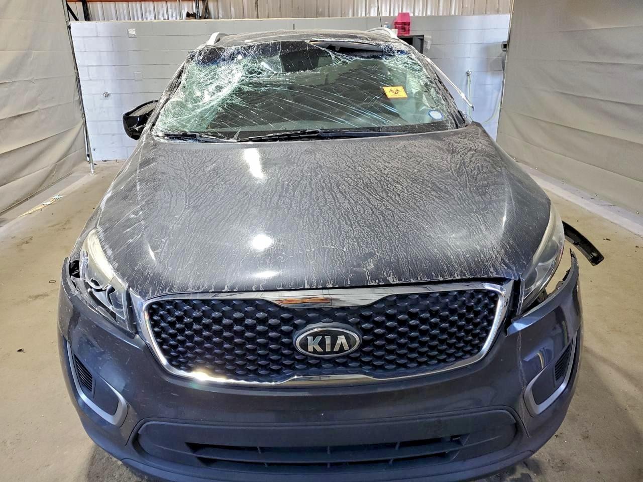 2016 Kia Sorento Lx - Фото 5