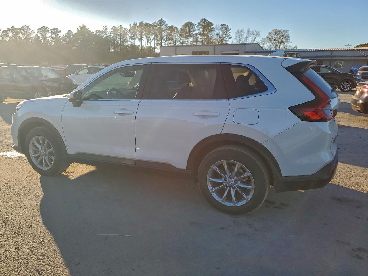 2025 Honda Cr-V Exl - Image 2