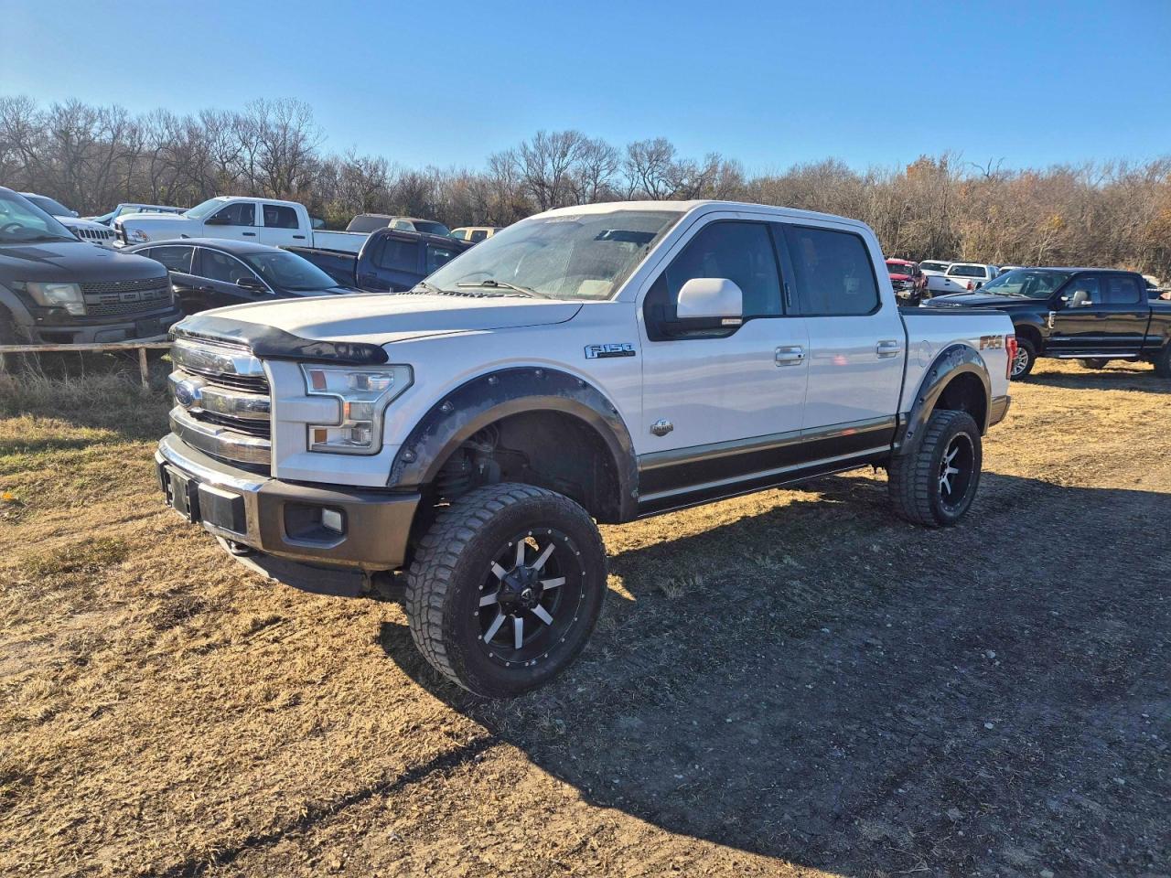 2016 Ford F150 Supercrew - Фото 2