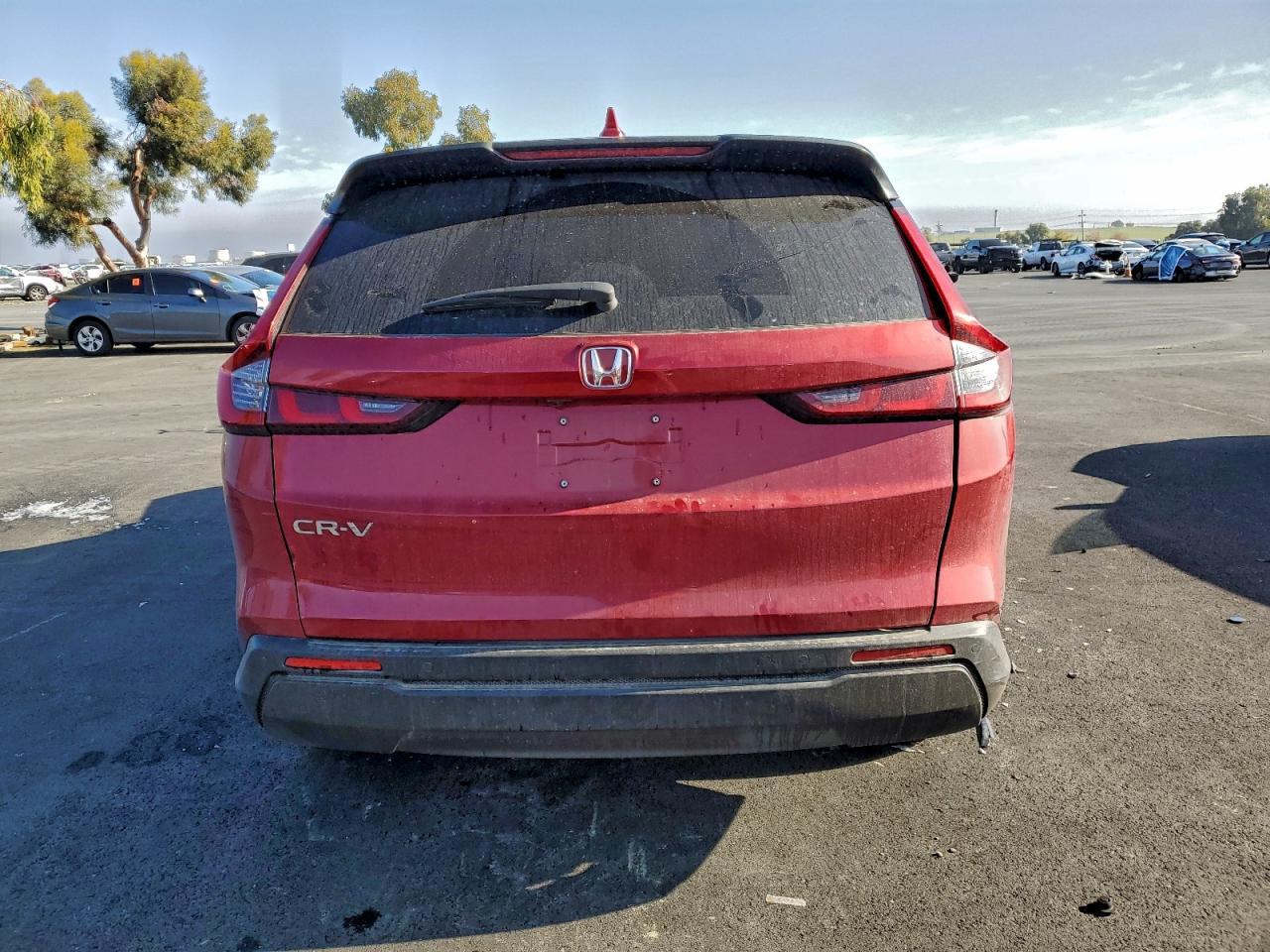 2025 Honda Cr-V Exl - Image 6