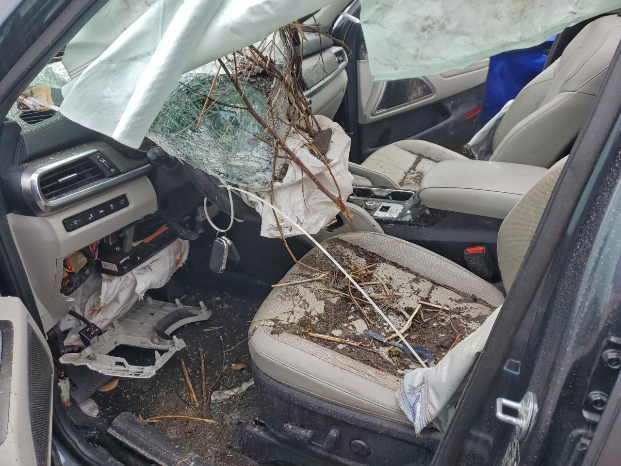 2022 Kia Telluride Ex - Фото 7