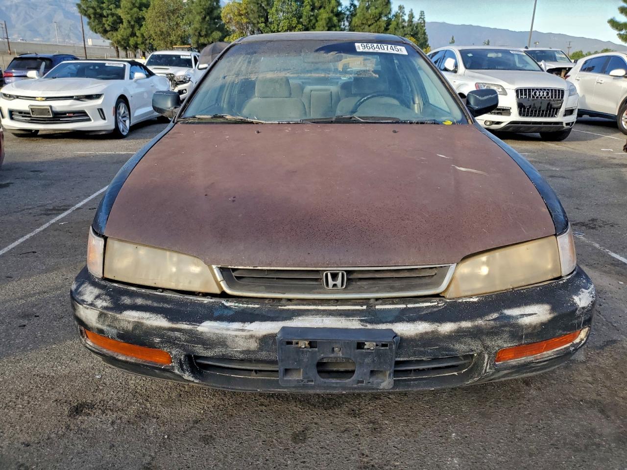 1996 Honda Accord Ex - Image 5