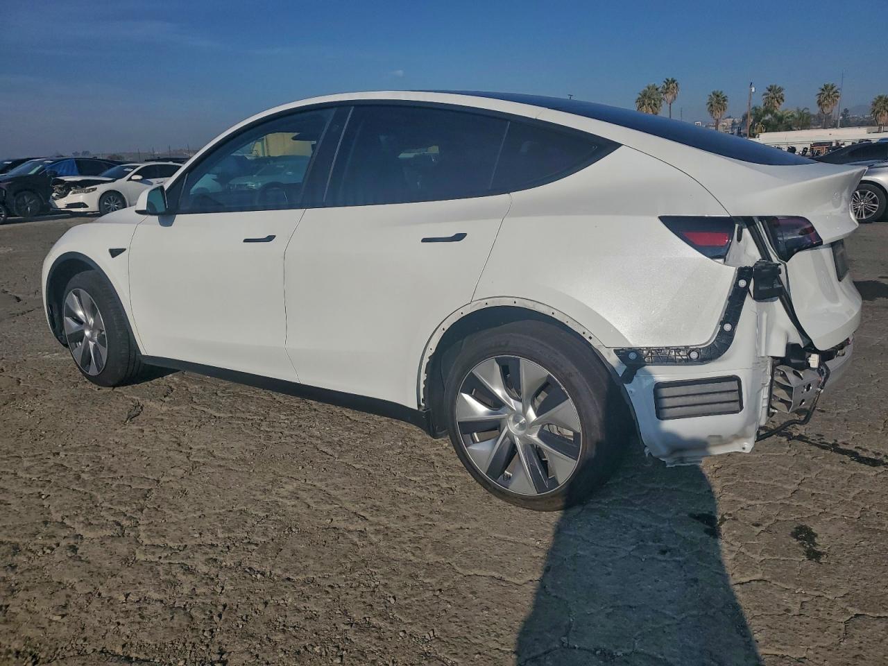 2021 Tesla Model Y - Фото 2